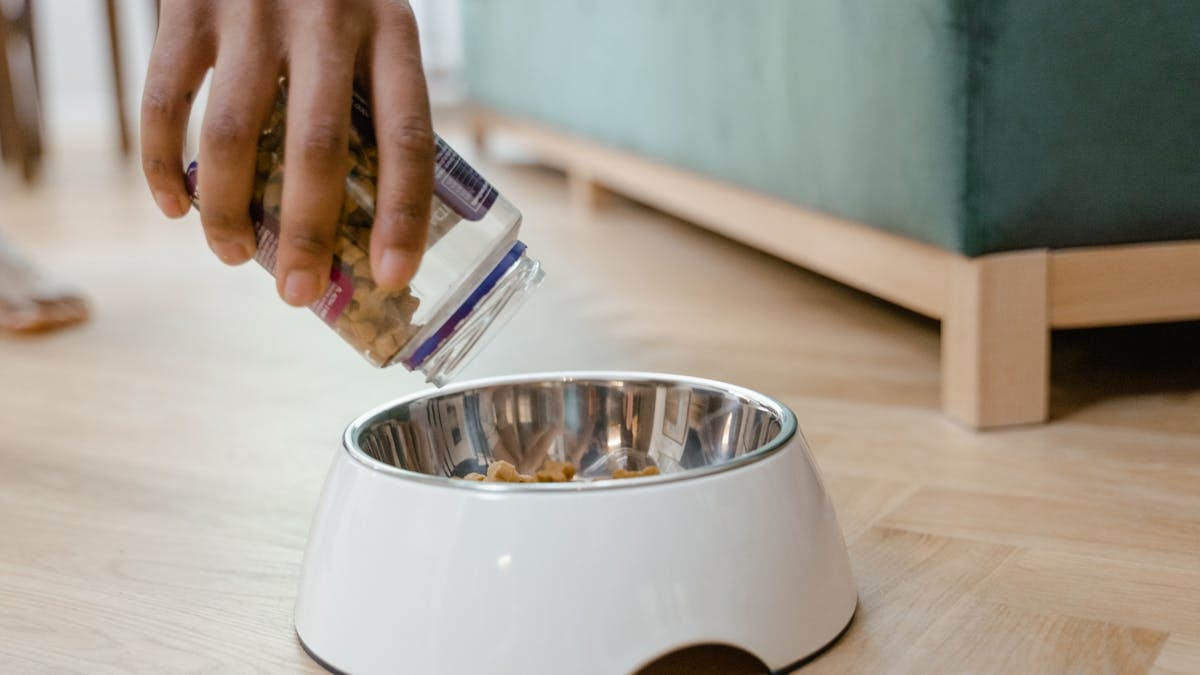 A person pours dog treats from a jar into a metal bowl on a wooden floor.